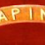 fascia-lapini250.png