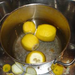 2010_limoni_1.jpg