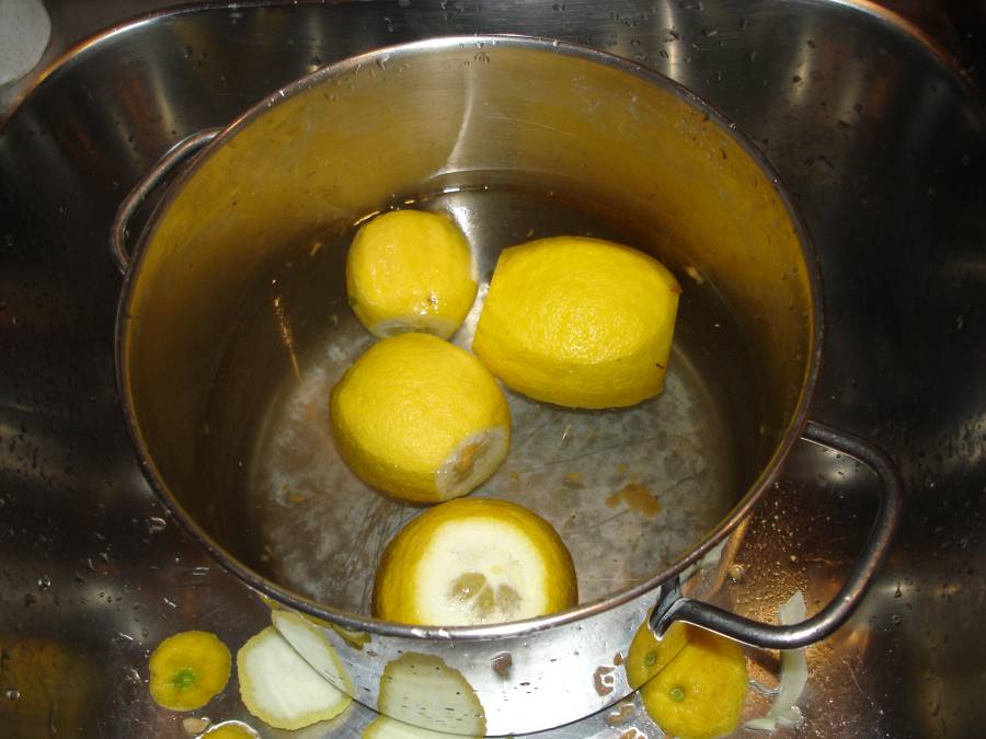 2010_limoni_1.jpg