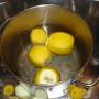 2010_limoni_1.jpg