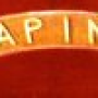 fascia-lapini.png